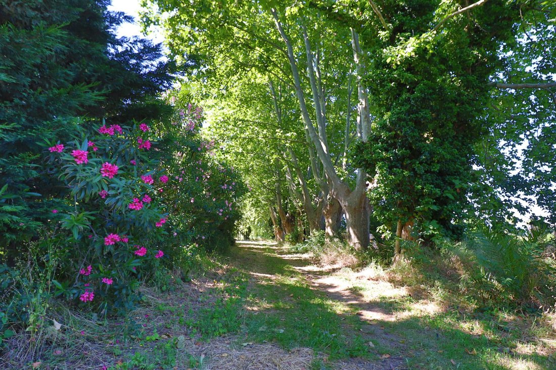 House in Haut Vernet-Moyen Vernet, Perpignan, France 4 - 11026235