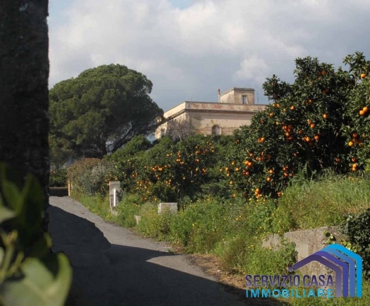 House in Mascali, Sicily, Italy 1 - 10681383