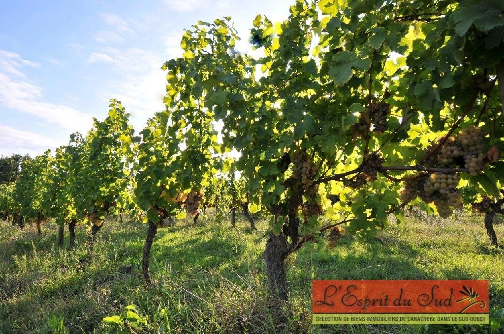 Chateau in Vieux Bergerac, Bergerac, France 1 - 10985563
