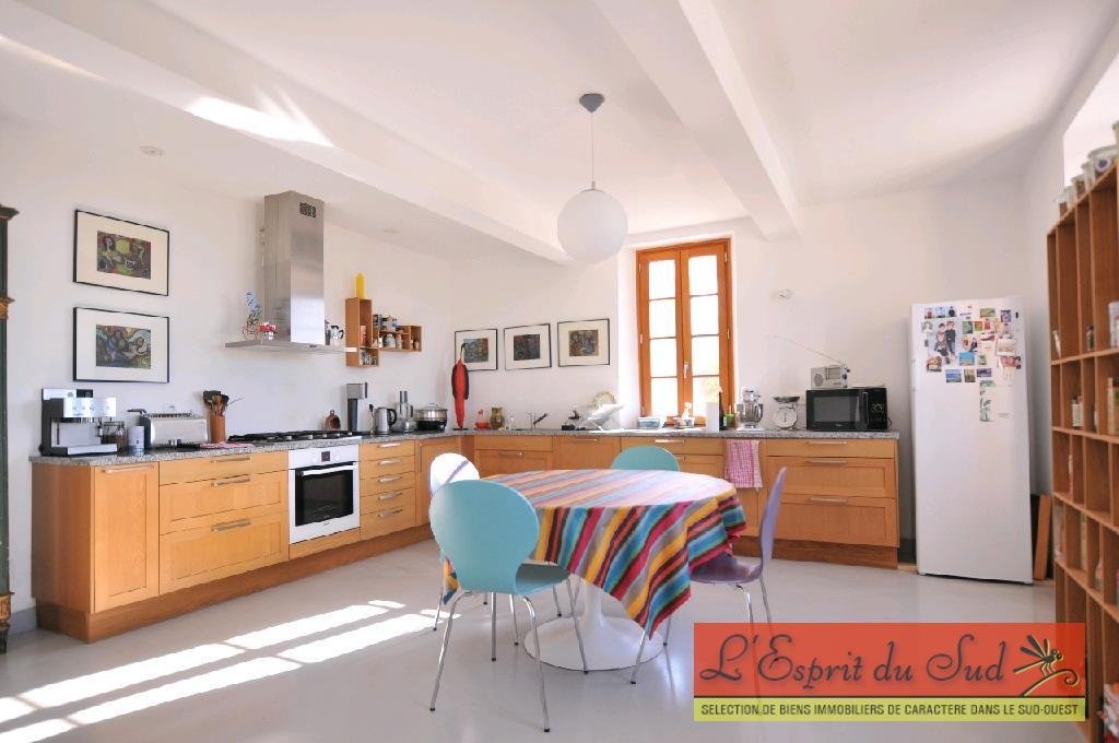 House in Rabastens, Occitania, France 3 - 10985550