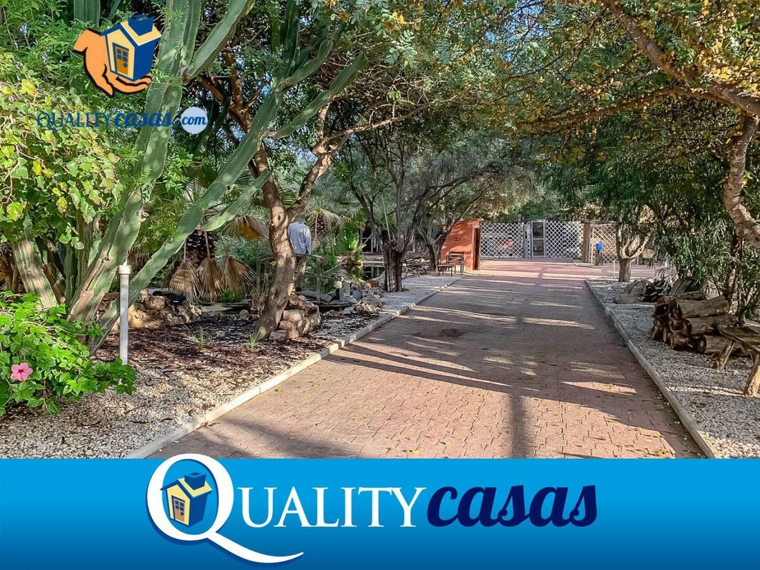 Playa San Juan En Alicante (Alacant), Comunidad Valenciana, España En