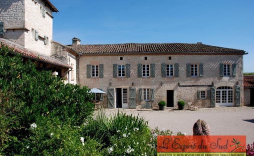 House in Villeneuve-sur-Vère, Occitania, France 1