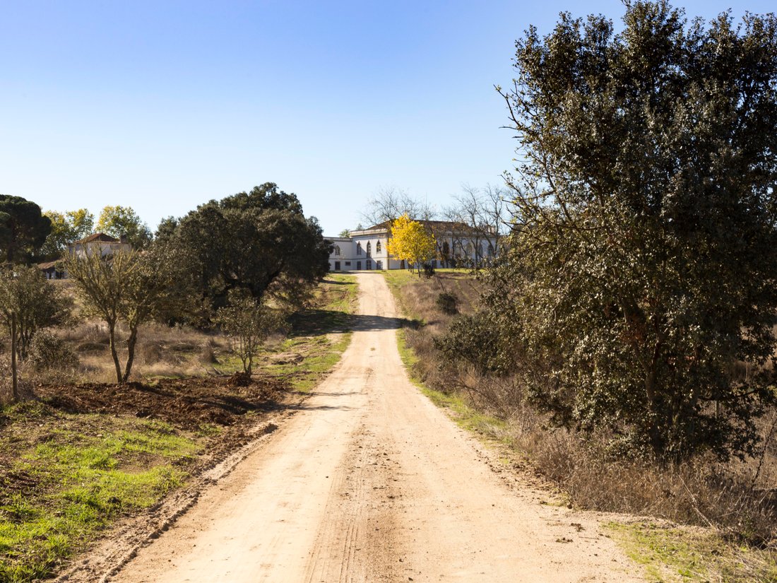 Farm Ranch in Olivais, Portugal 3 - 1332637
