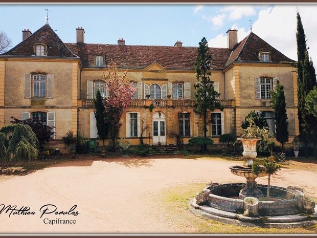 Castle in Digoin, Bourgogne-Franche-Comté, France 1