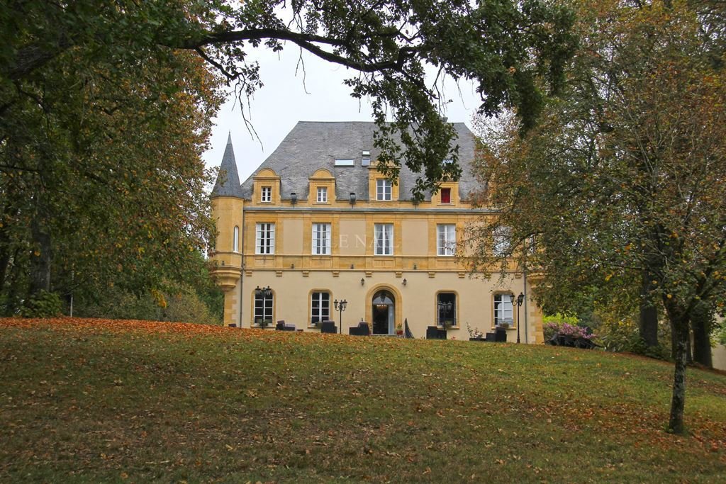 Beautiful Chateau For Sale In Dordogne. In Montignac, Nouvelle