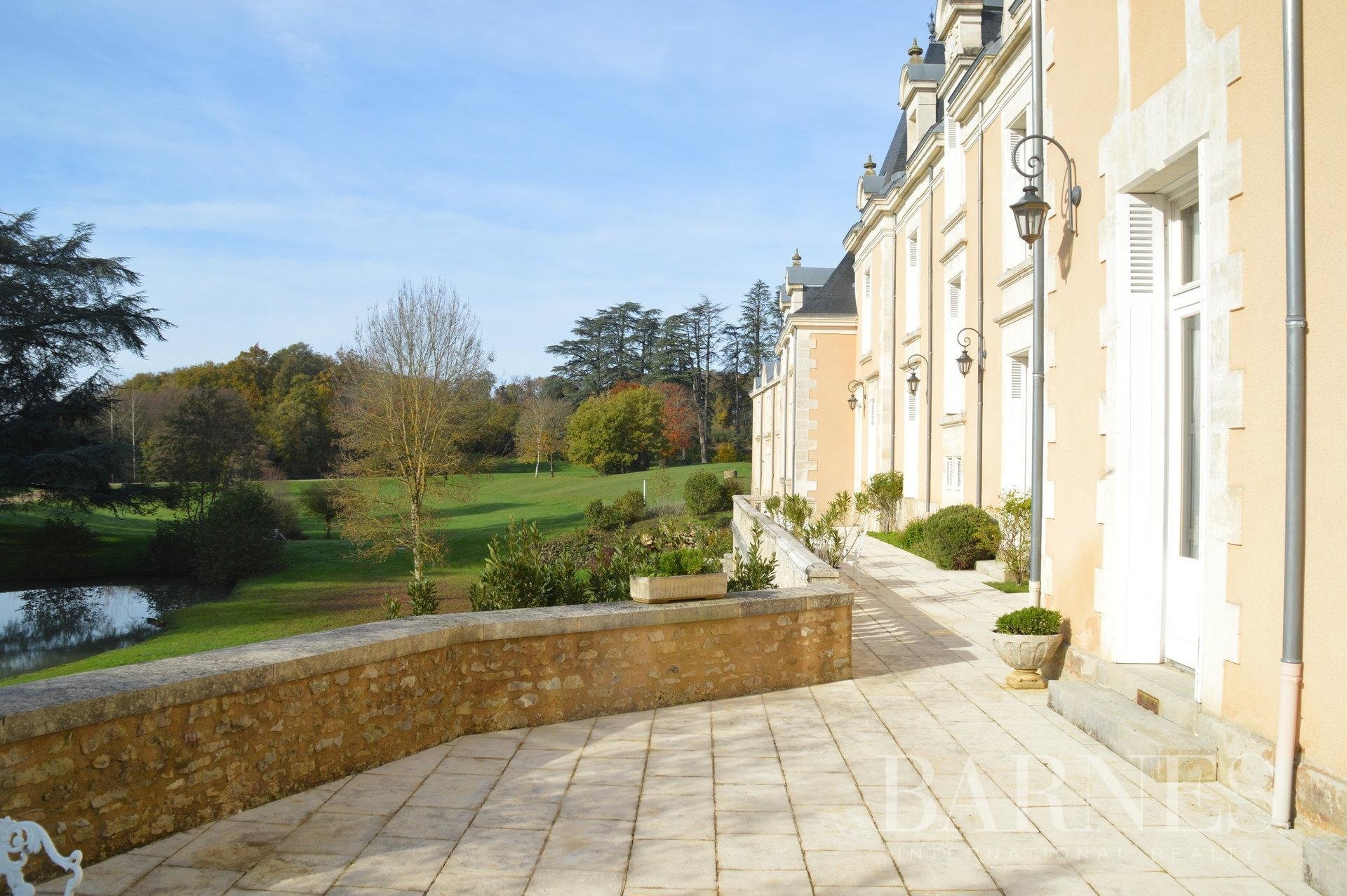 Sale Castle Poitiers In Poitiers, France For Sale (10784872)