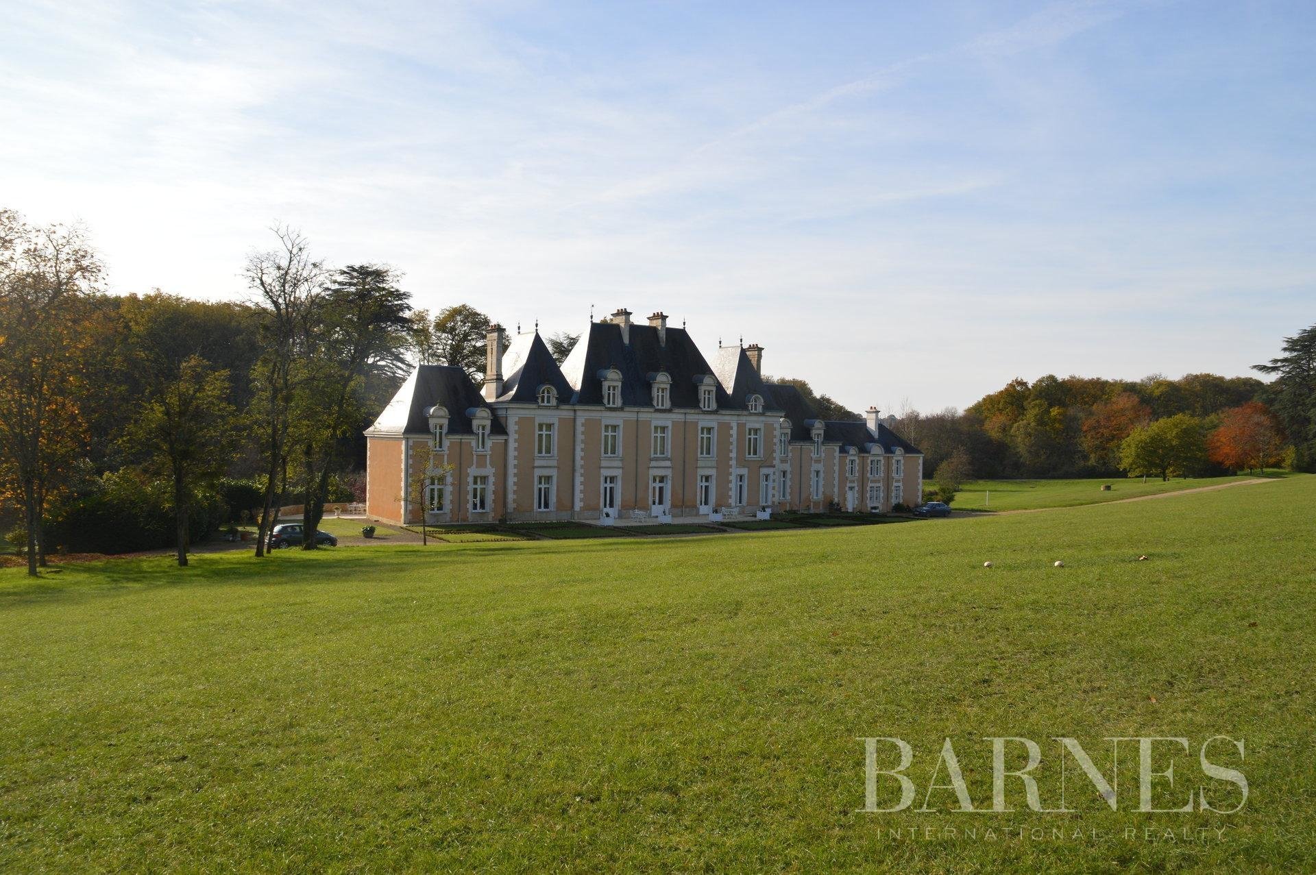 Sale Castle Poitiers In Poitiers, France For Sale (10784872)