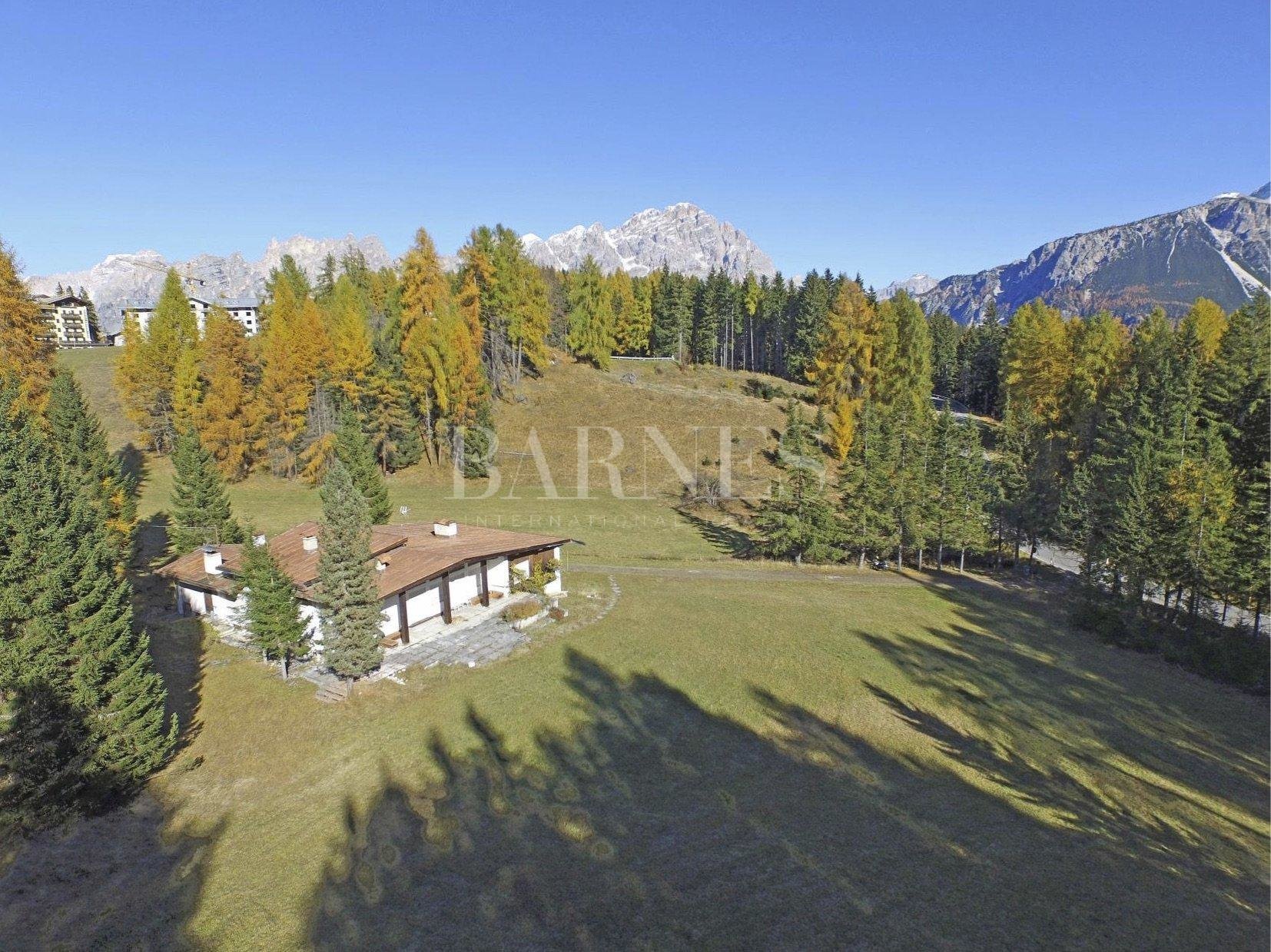 Sale Chalet Cortina d'Ampezzo in Cortina D'ampezzo, Italy for sale