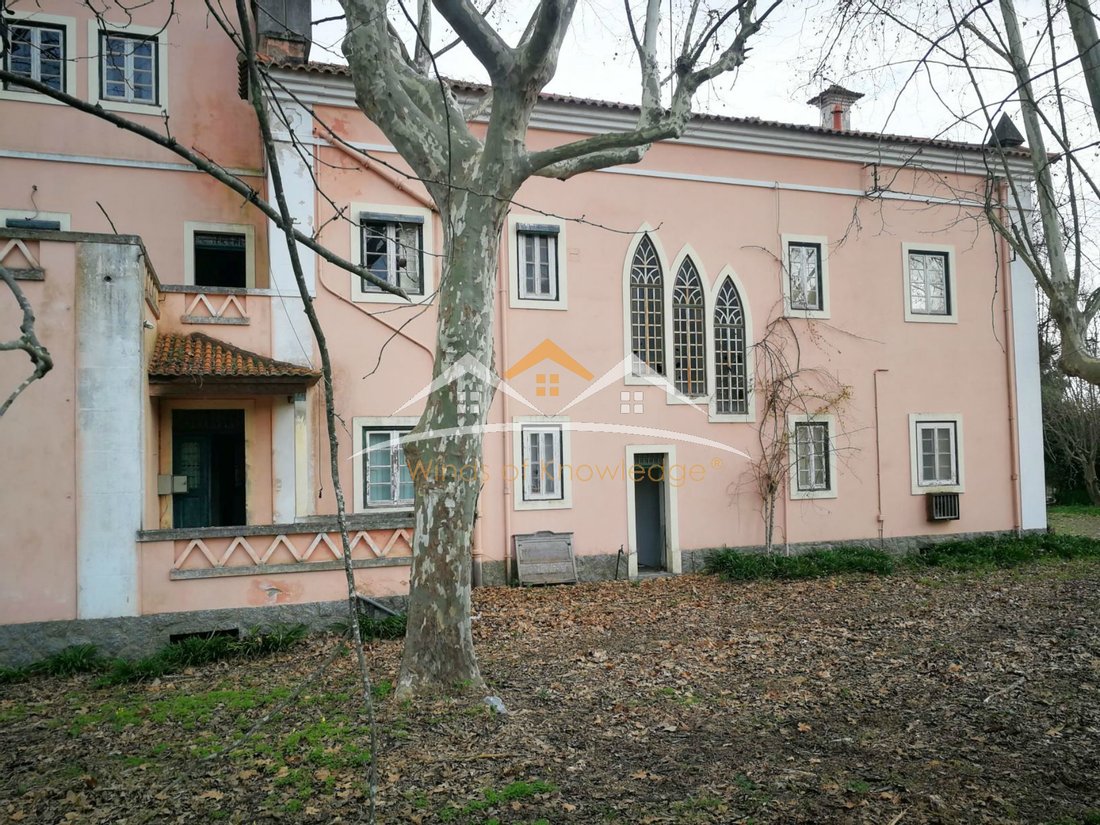 House in Tramagal, Santarem District, Portugal 1 - 10905496