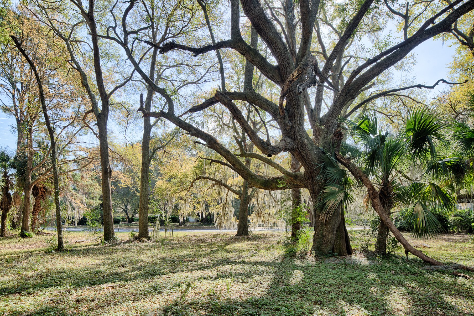 83 Oak Tree Road in Bluffton, SC, United States for sale (10937336)