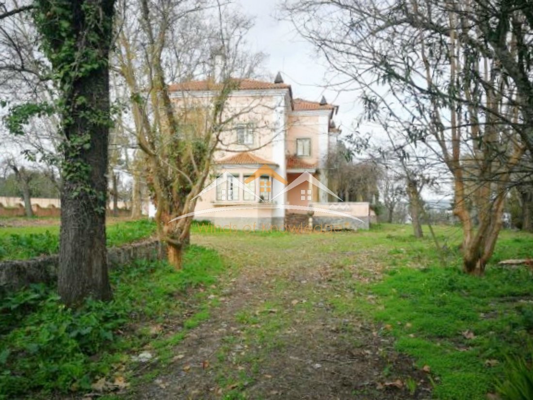 House in Tramagal, Santarem District, Portugal 4 - 10905496