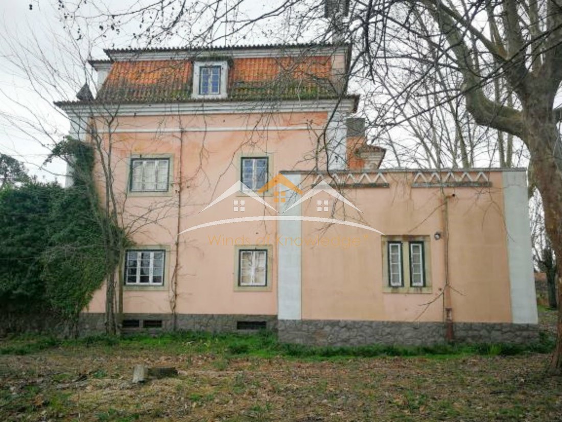 House in Tramagal, Santarem District, Portugal 3 - 10905496