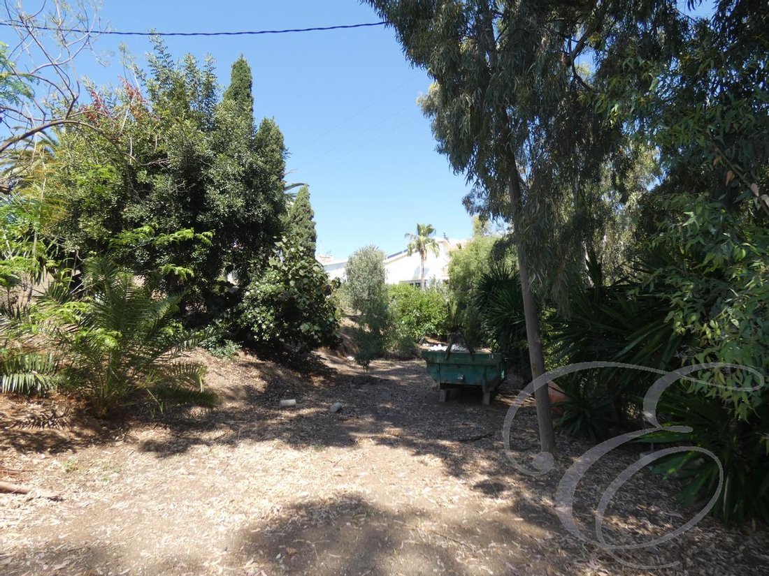 Villa in Benajarafe, Velez-Malaga, Andalusia 5 - 10731902