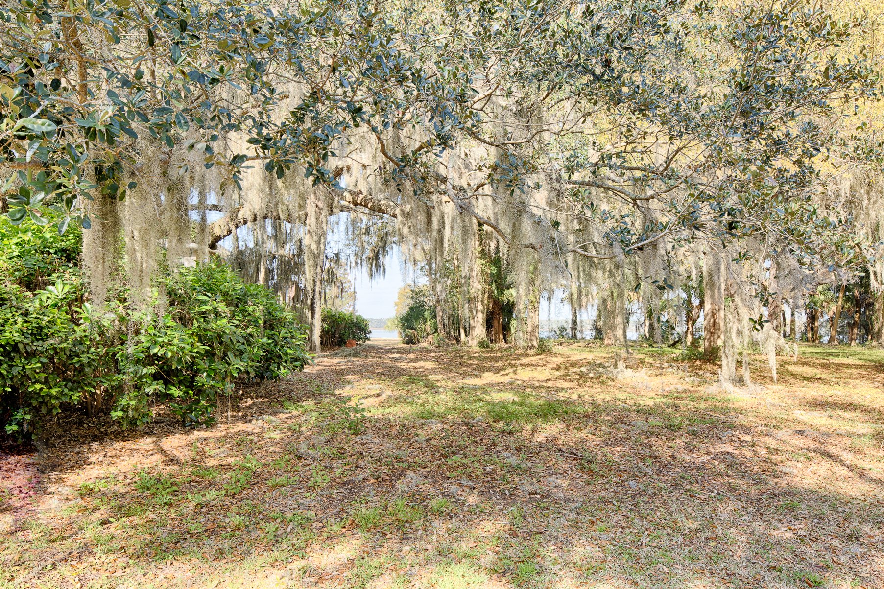 83 Oak Tree Road in Bluffton, SC, United States for sale (10937336)