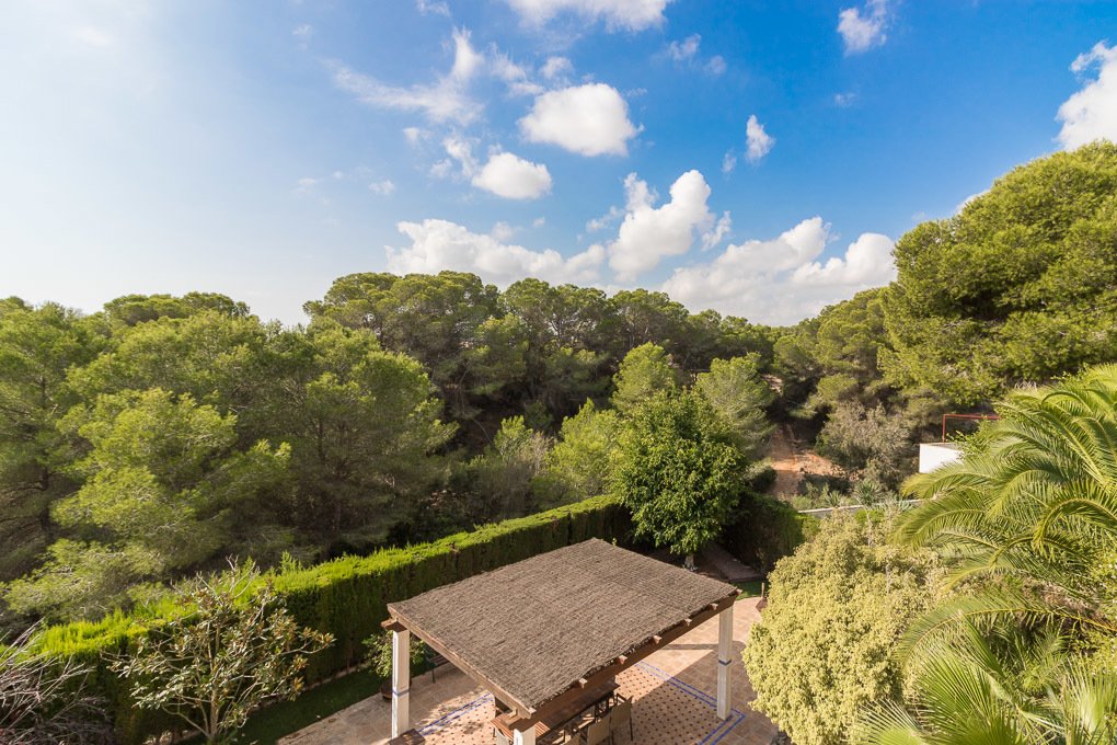 Villa in Dehesa de Campoamor, Orihuela, Valencian Community 4 - 10613159