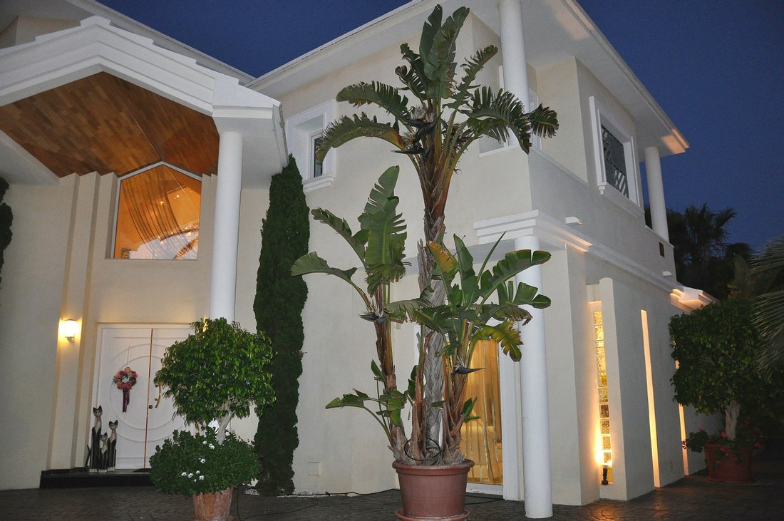 Villa in Cabo Roig, Orihuela, Valencian Community 5 - 10613154