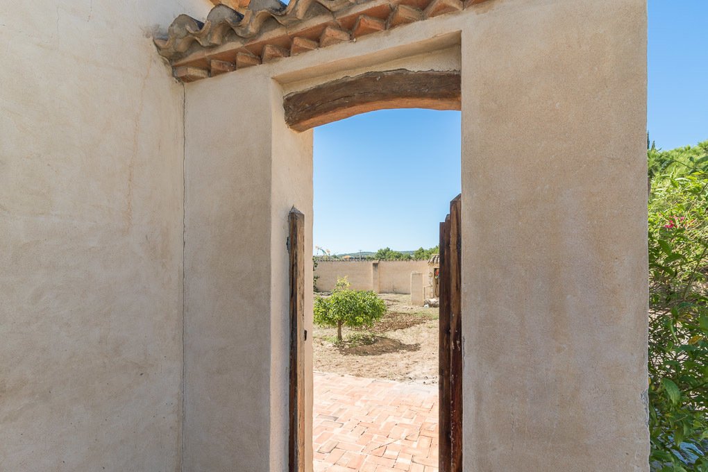 Finca in San Miguel de Salinas, Valencian Community, Spain 2 - 10613160