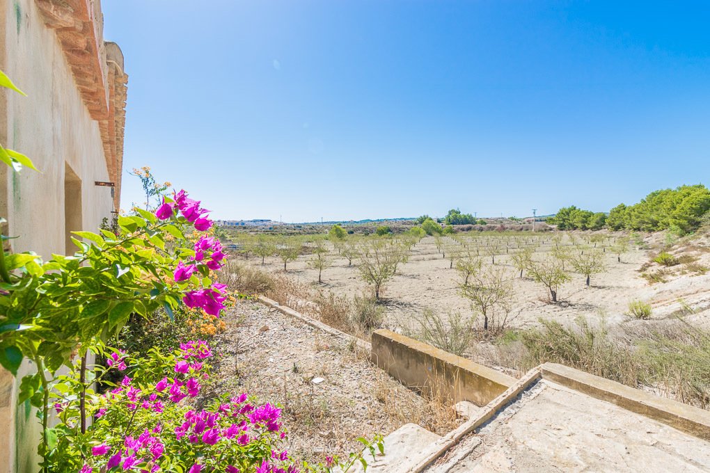 Finca in San Miguel de Salinas, Valencian Community, Spain 3 - 10613160