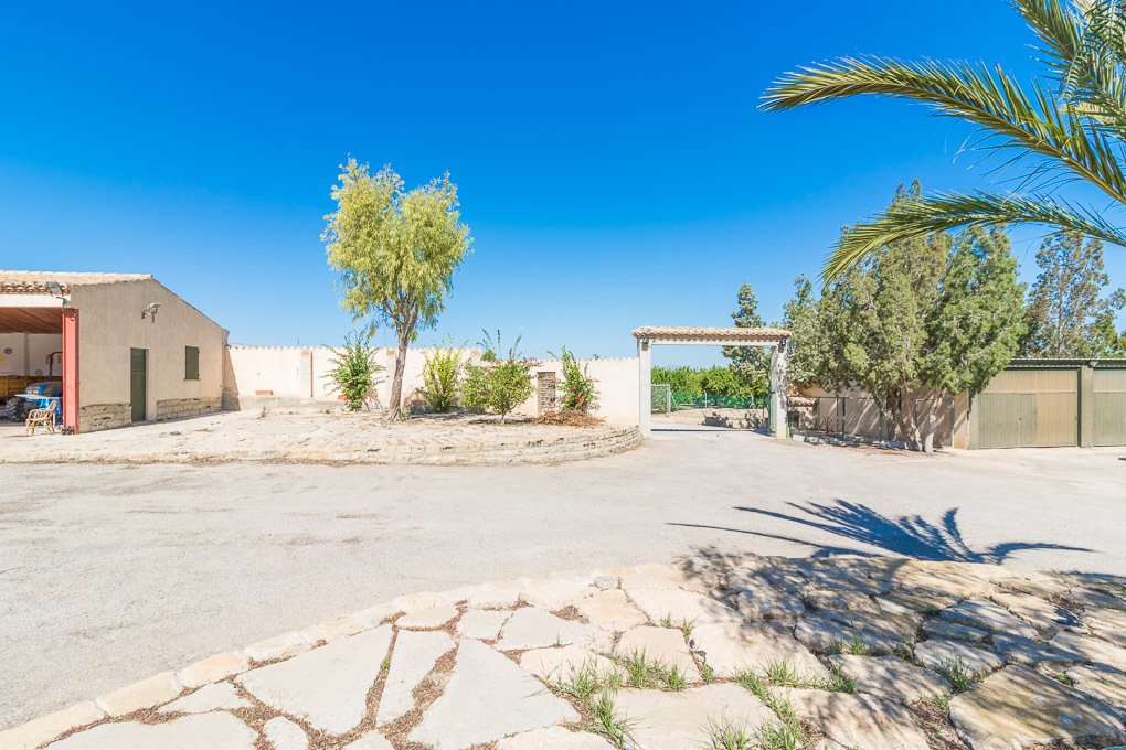Finca in San Miguel de Salinas, Valencian Community, Spain 5 - 10613160