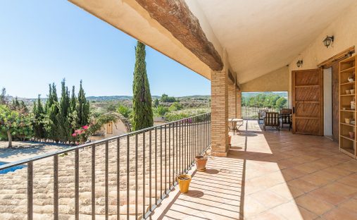 Finca in San Miguel de Salinas, Valencian Community, Spain 1