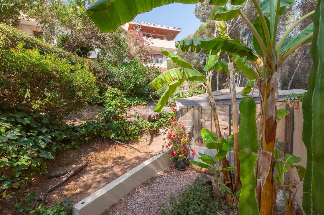 Villa in Dehesa de Campoamor, Orihuela, Valencian Community 1 - 10644345