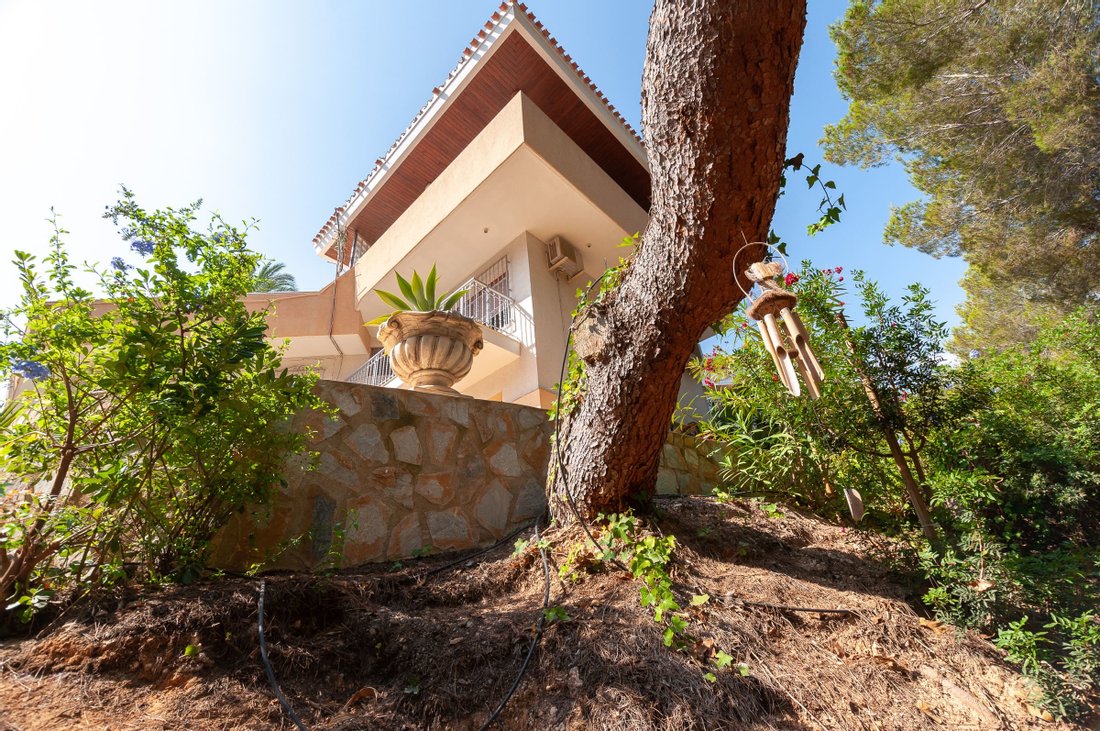 Villa in Dehesa de Campoamor, Orihuela, Valencian Community 3 - 10644345