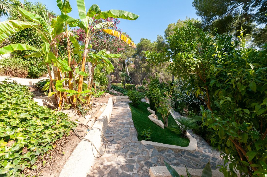 Villa in Dehesa de Campoamor, Orihuela, Valencian Community 4 - 10644345