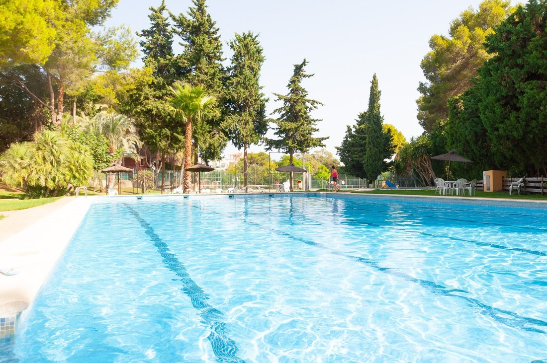 Villa in Dehesa de Campoamor, Orihuela, Valencian Community 4 - 10613186