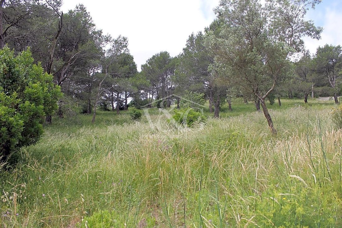 Country House in Costa Brava, Spain 2 - 11001536