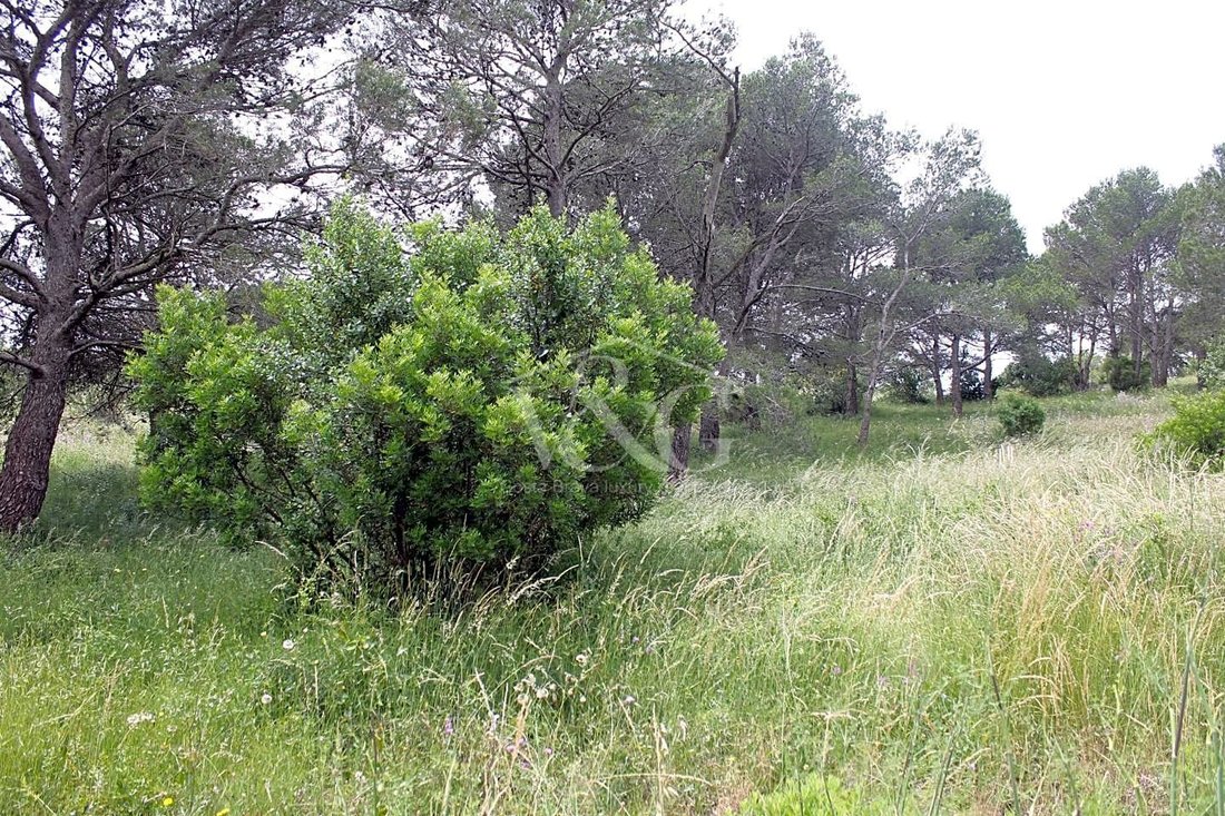 Country House in Costa Brava, Spain 3 - 11001536