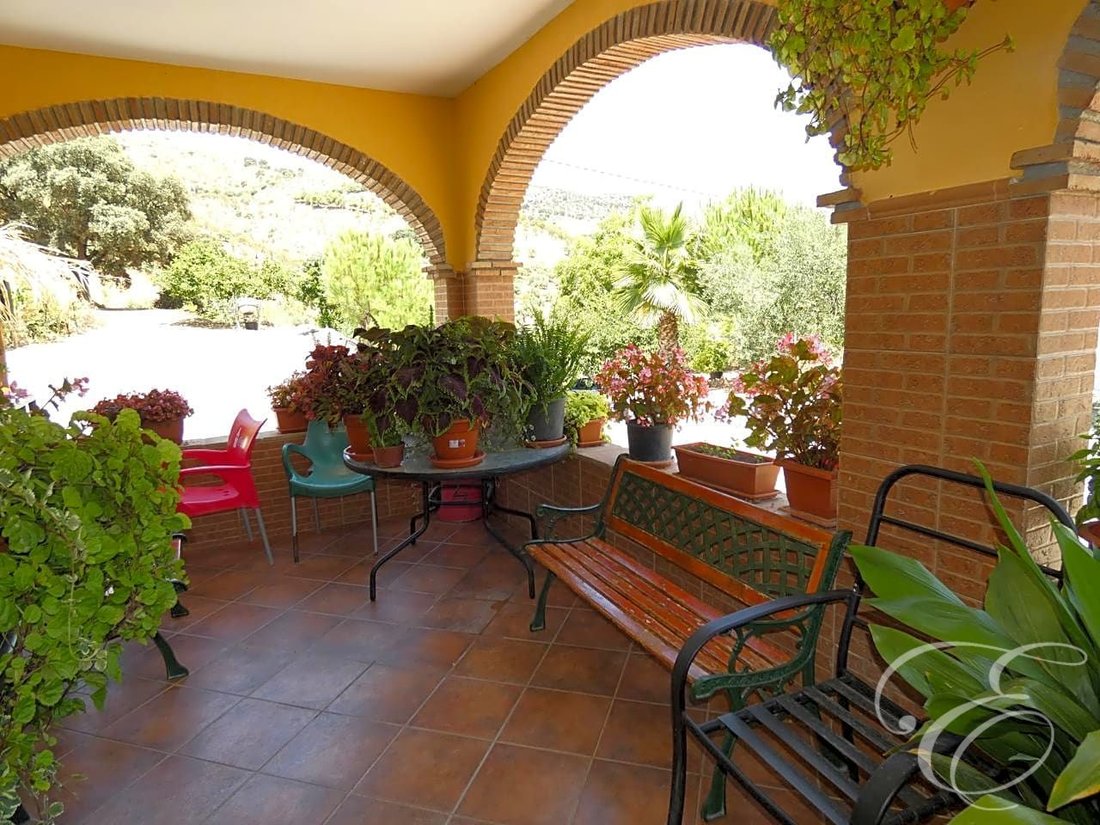 Villa in Casabermeja, Andalusia, Spain 3 - 11050249