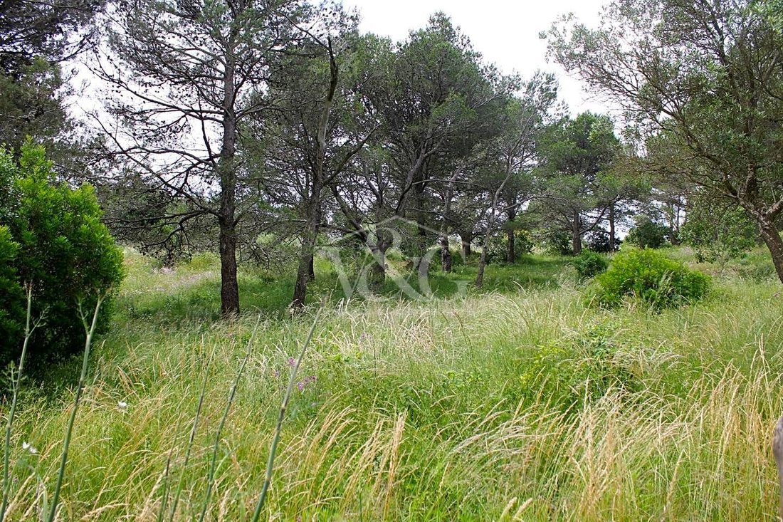 Country House in Costa Brava, Spain 4 - 11001536