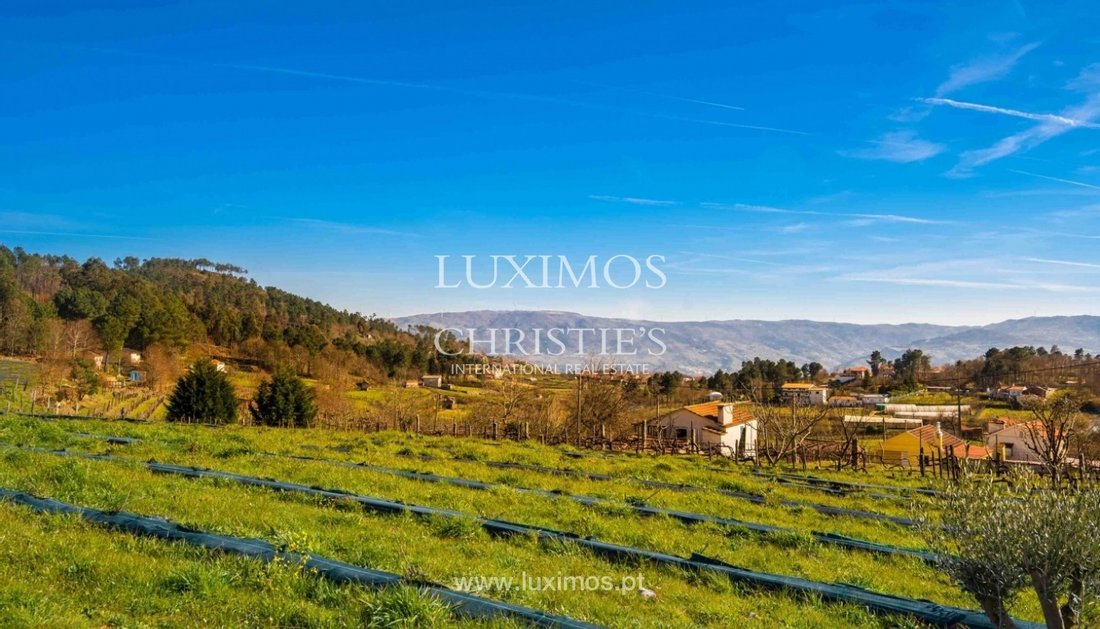 Farm Ranch in Gestation, Porto District, Portugal 5 - 10593453