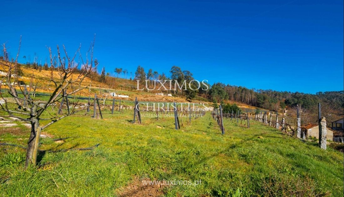 Farm Ranch in Gestation, Porto District, Portugal 2 - 10593453