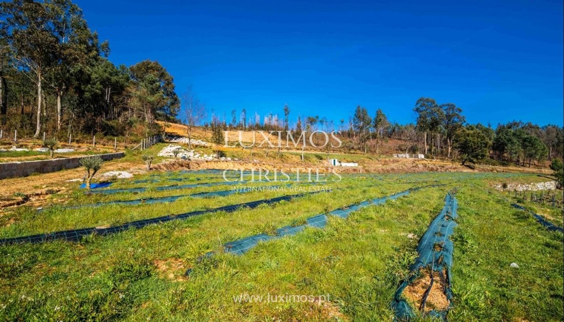 Farm Ranch in Gestation, Porto District, Portugal 3 - 10593453