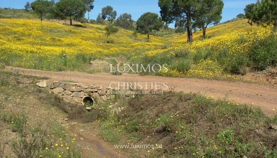 Farm Ranch in Bensafrim e Barao de Sao Joao, Algarve, Portugal 5 - 10593318