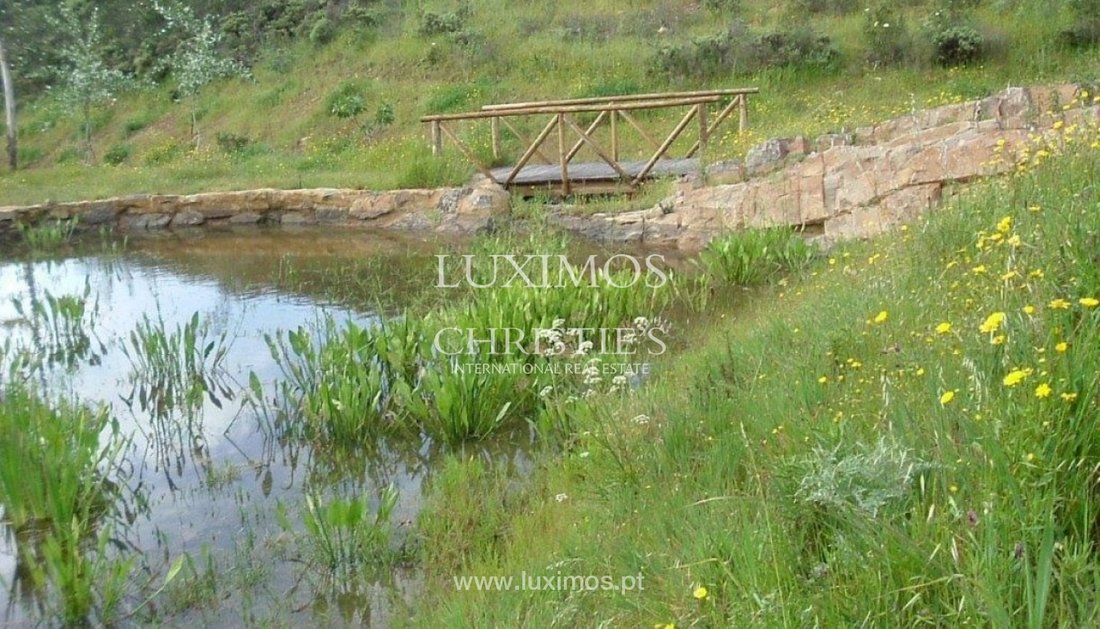 Farm Ranch in Bensafrim e Barao de Sao Joao, Algarve, Portugal 2 - 10593318