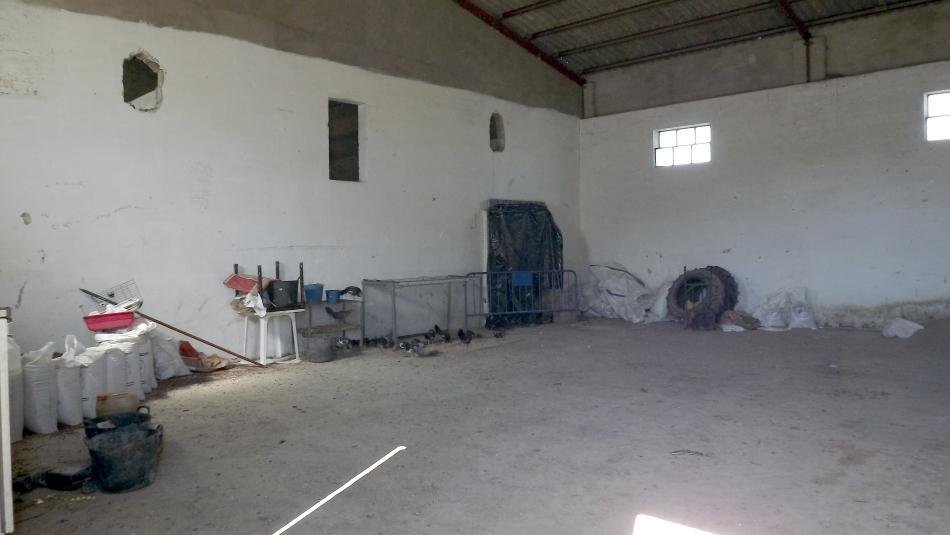 Finca en Montellano, Andalucía, España 3 - 11029211