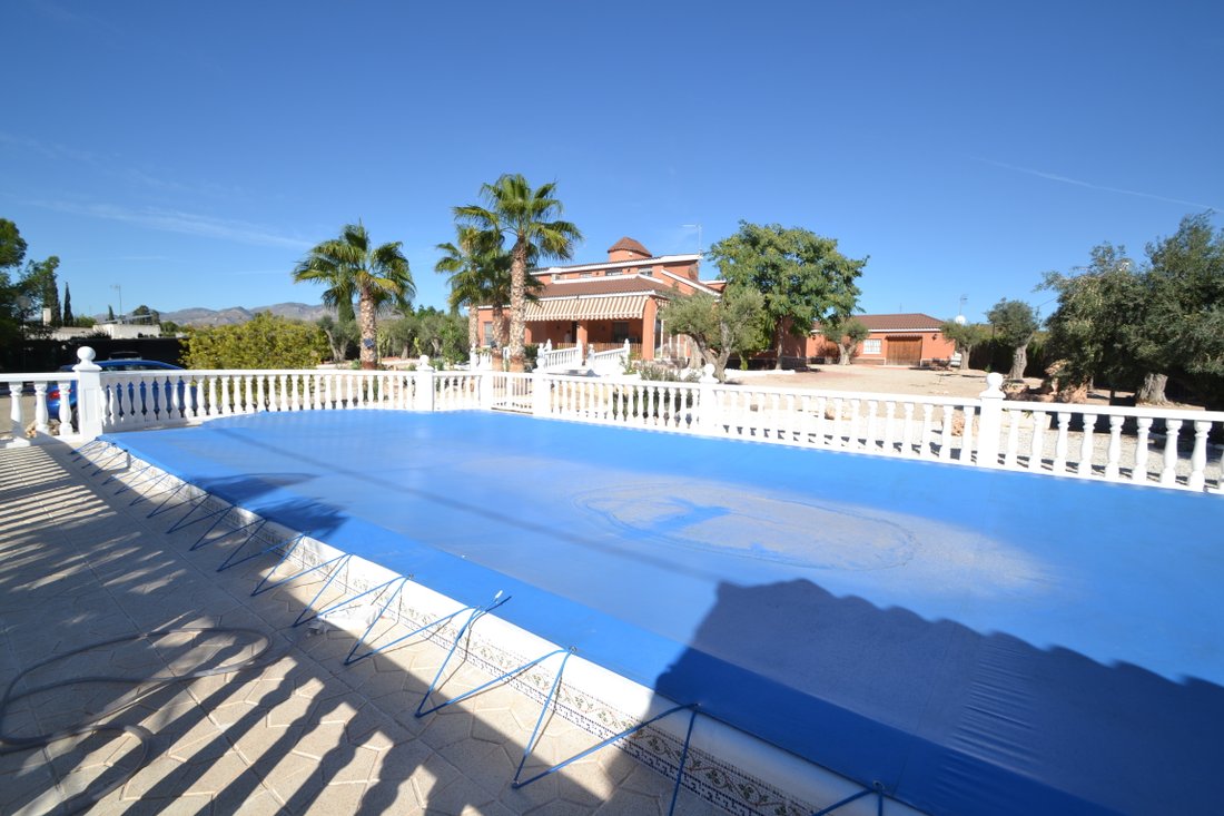 Villa in Elx / Elche, Valencian Community, Spain 5 - 10659003