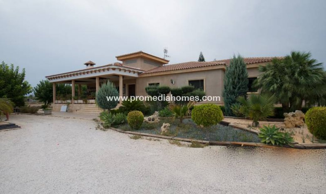 Elche Finca In Elx, Valencian Community, Spain For Sale (10658100)