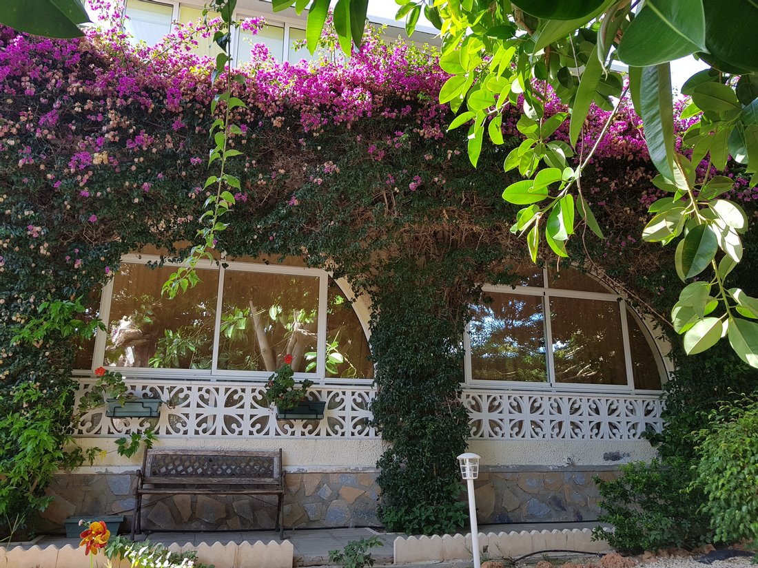Villa in Ciudad Quesada, Rojales, Valencian Community 3 - 10659006