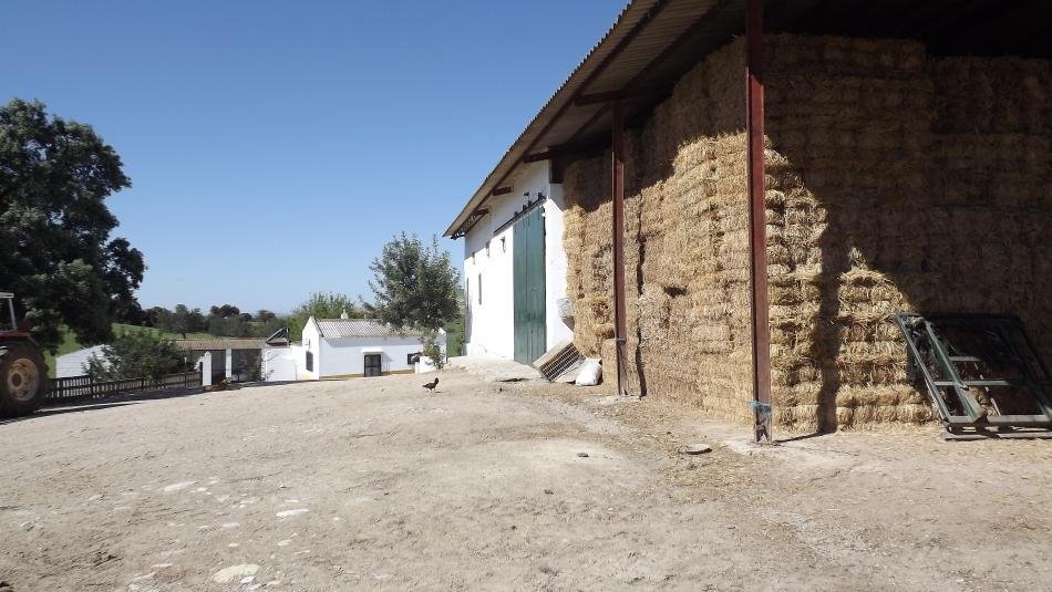 Finca en Montellano, Andalucía, España 2 - 11029211