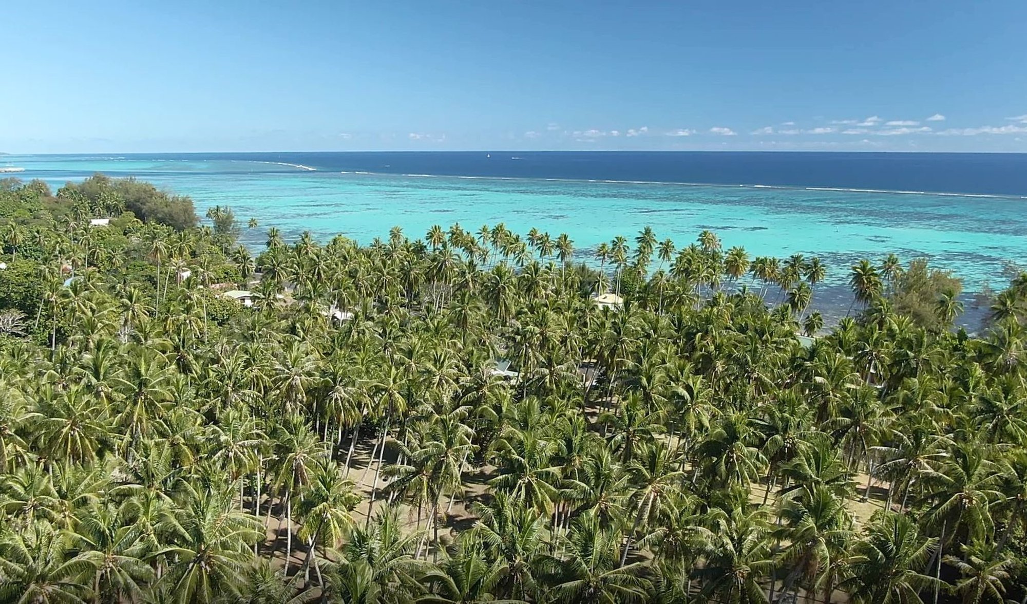 Superbe Domaine Cocoteraie Avec Bord De Mer in Maiao, French Polynesia ...