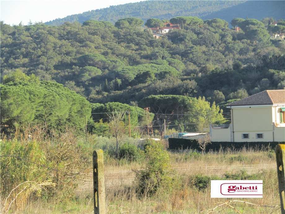 Land in Capoliveri, Tuscany, Italy 4 - 10781821