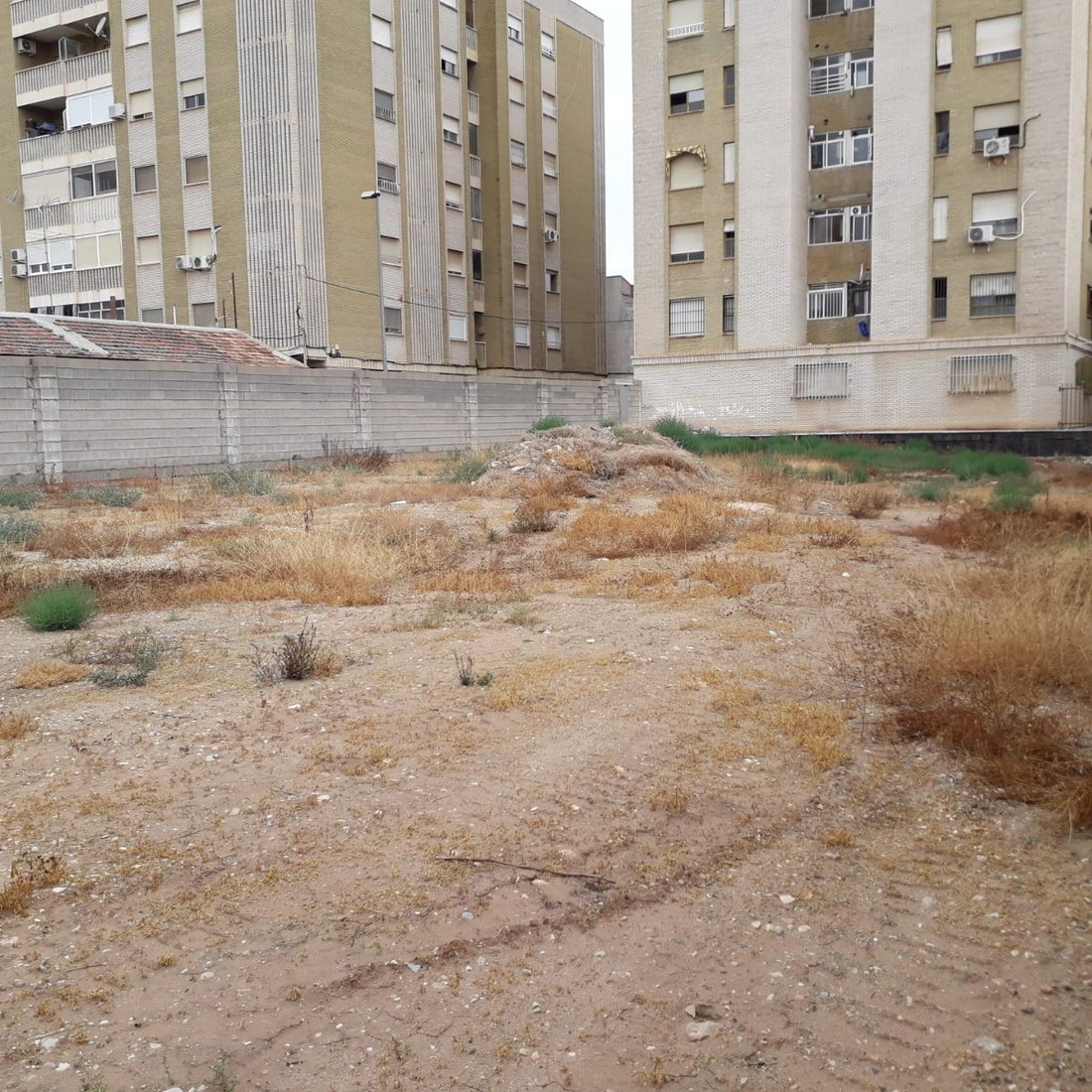 Land in Albatera (Municipality), Valencian Community, Spain 1 - 10658933