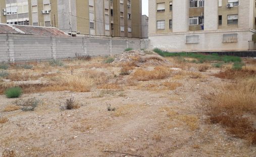 Terreno en Albatera, Comunidad Valenciana, España 1