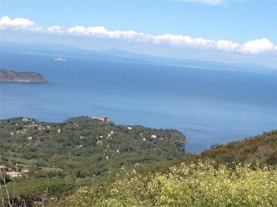 Land in Capoliveri, Tuscany, Italy 3 - 11016421