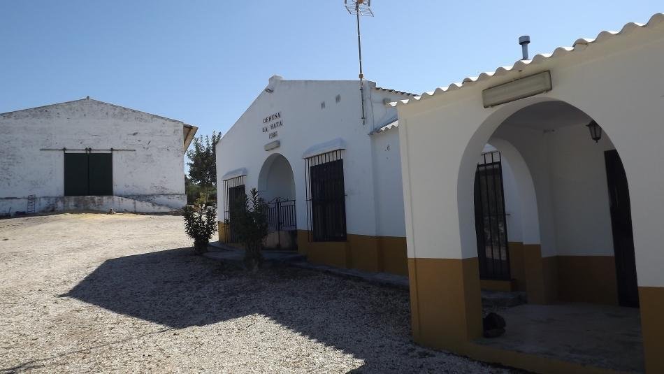 Finca en Montellano, Andalucía, España 1 - 11029211