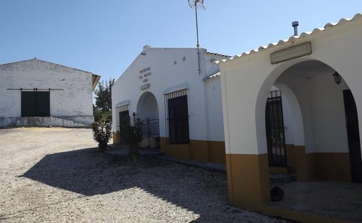 Finca en Montellano, Andalucía, España 1