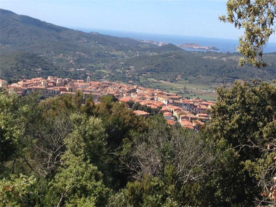 Land in Capoliveri, Tuscany, Italy 4 - 11016421